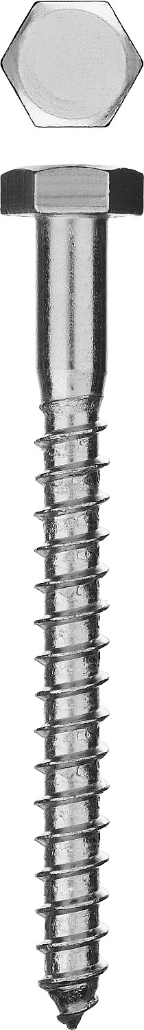 Шурупы ШДШ с шестигранной головкой (DIN 571), 100 х 10 мм, 25 шт, ЗУБР